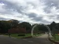 代々木公園の写真_165885