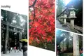 日光東照宮の写真_167189
