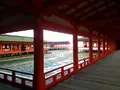 豊国神社（千畳閣）の写真_167629