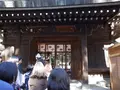 川越氷川神社の写真_167665