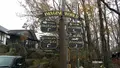 レストラン ペニーレイン（RESTAURANT PENNY LANE）那須店の写真_167785