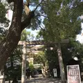 洲崎神社の写真_168245