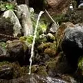 甲斐大泉温泉　パノラマの湯の写真_168994