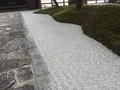 建仁寺の写真_169358