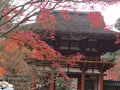 室生寺の写真_170220