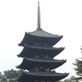 興福寺 南円堂（西国９番）の写真_170364