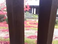 法隆寺の写真_170600