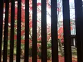 法隆寺の写真_170601
