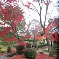 法隆寺の写真_170602