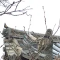 法隆寺の写真_170623