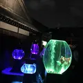 元離宮 二条城の写真_171214