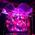 元離宮 二条城の写真_171219