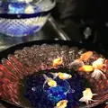 元離宮 二条城の写真_171220
