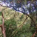 モダマの郷の写真_171881