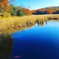 一碧湖の写真_171943