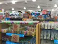 コッド岬の写真_173511
