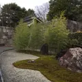 元離宮 二条城の写真_173592