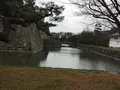 元離宮 二条城の写真_173593