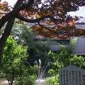 生田神社の写真_174177