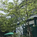スターバックス・コーヒー 神戸北野異人館店（STARBUCKS COFFEE）の写真_174194