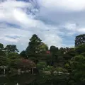 京都御苑の写真_174216