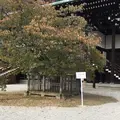 京都御苑の写真_174217