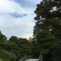 京都御苑の写真_174220
