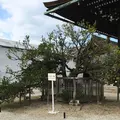 京都御苑の写真_174221