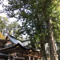 三峯神社の写真_174425