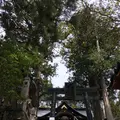 三峯神社の写真_174426