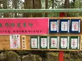 日光二荒山神社の写真_174445