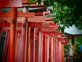 根津神社の写真_174906