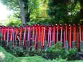 根津神社の写真_174907