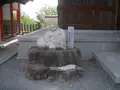 護国寺の写真_175821