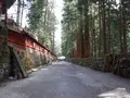 日光二荒山神社の写真_176318