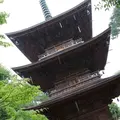 豪徳寺の写真_176719