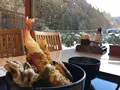 檜原温泉センター「数馬の湯」の写真_178087