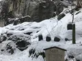 山寺の石段の写真_178759