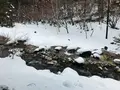 西の河原公園の写真_180138