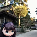 鹿島神宮の写真_180326