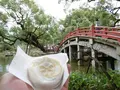 竈門神社の写真_180759