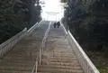 大洗磯前神社の写真_181395