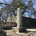 名古屋城の写真_181800