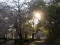 桜ノ宮公園の写真_185162