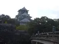 大阪城　梅林の写真_185168