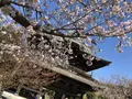 建長寺の写真_186658