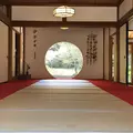 明月院（あじさい寺）の写真_186661