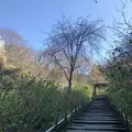 明月院（あじさい寺）の写真_186664