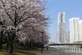 カップヌードルミュージアム 横浜の写真_186854