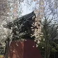 埼玉狭山市広瀬神社の写真_186993